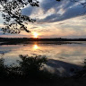 Meet your Posher, Phillip